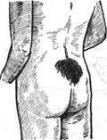 24.jpg (4837 bytes)