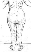 25.jpg (4352 bytes)