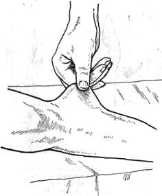 26.jpg (8568 bytes)