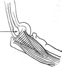 269.jpg (6996 bytes)
