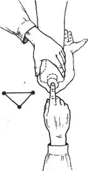 272.jpg (7638 bytes)