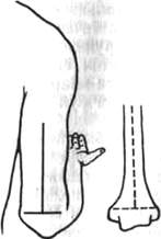 273.jpg (4954 bytes)