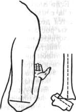 274.jpg (5417 bytes)