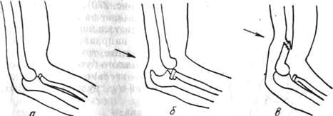 275.jpg (12010 bytes)