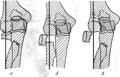 282.jpg (22537 bytes)