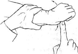 287.jpg (6012 bytes)