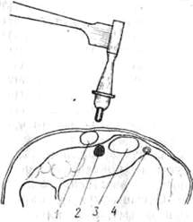 288.jpg (7441 bytes)