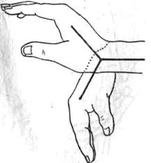 290.jpg (6488 bytes)