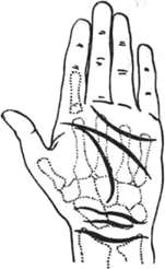 291.jpg (7630 bytes)
