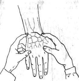 292.jpg (10247 bytes)