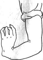 293.jpg (5302 bytes)