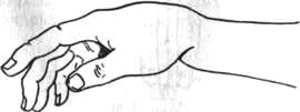 294.jpg (4622 bytes)