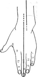 296.jpg (5215 bytes)