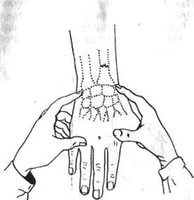 297.jpg (10318 bytes)