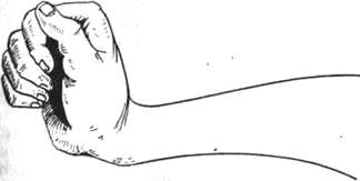 298.jpg (6238 bytes)