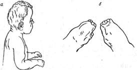 3.jpg (5215 bytes)