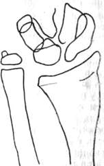 303.jpg (6403 bytes)
