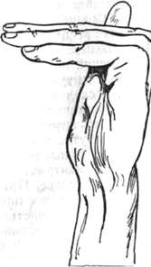 307.jpg (7903 bytes)