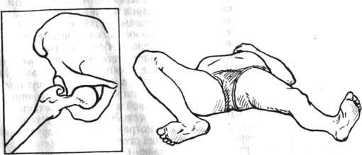331.jpg (15382 bytes)