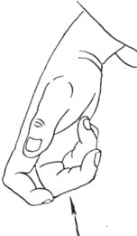 34.jpg (9539 bytes)