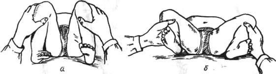 342.jpg (14819 bytes)
