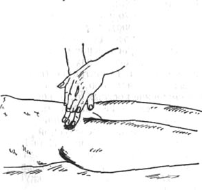 38.jpg (13660 bytes)