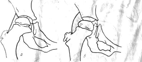 390.jpg (14846 bytes)