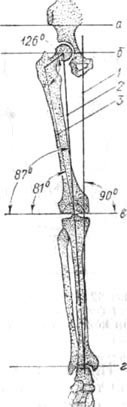 41.jpg (12293 bytes)