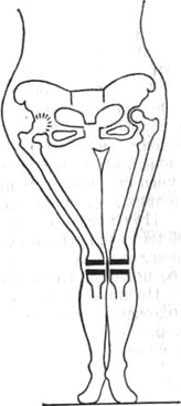 43.jpg (14173 bytes)