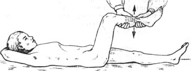 47.jpg (12775 bytes)