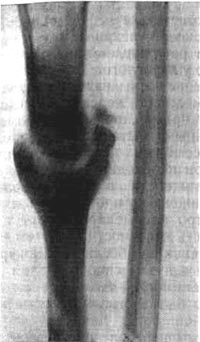 48.jpg (15543 bytes)