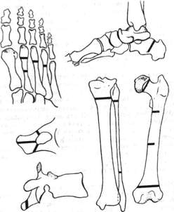 6.jpg (12774 bytes)