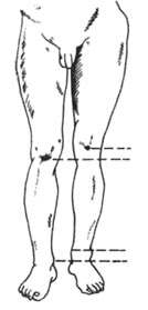 63.jpg (10069 bytes)