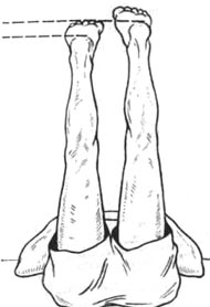 66.jpg (13363 bytes)