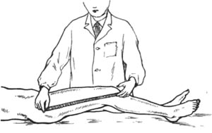 71.jpg (13367 bytes)
