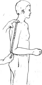 74.jpg (9316 bytes)