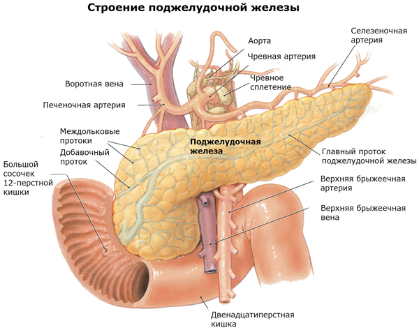 Клинические исследования при раке поджелудочной железы